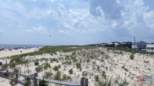 LBI Summer