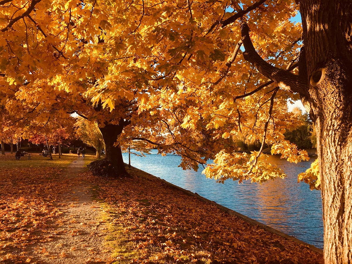 Read more about the article 5 Fall HVAC Maintenance Tips